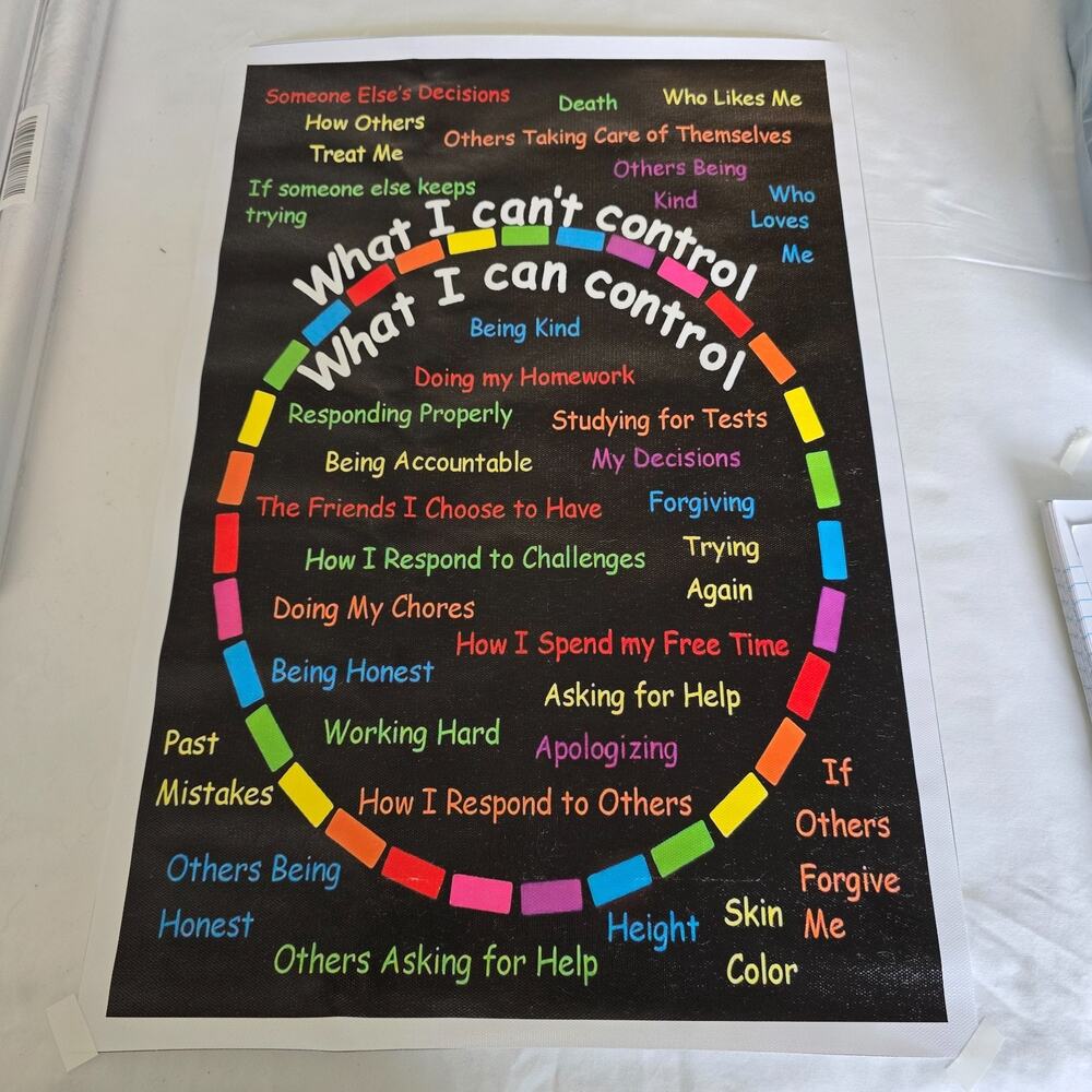 Canvas Wall Poster What I Can and Can't Control 12" x 18" Black Multi-Color New
